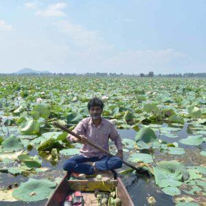 Photo Essay: Lotus in full bloom in Dal Lake
