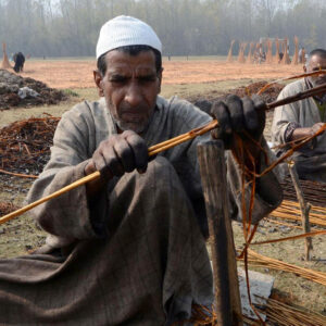 Photo Essay: Preparation of Wicker Sticks for Kangri