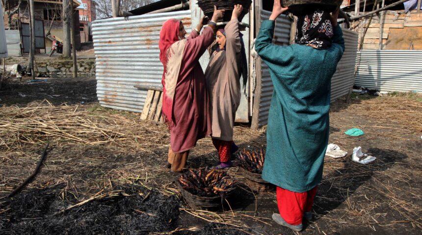 Photo Essay:  Phae’rie, the smoked fish of Kashmir