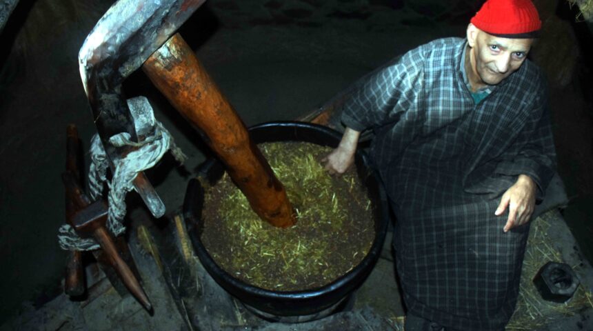 Photo Essay: Traditional ox-driven oil mill of Kashmir